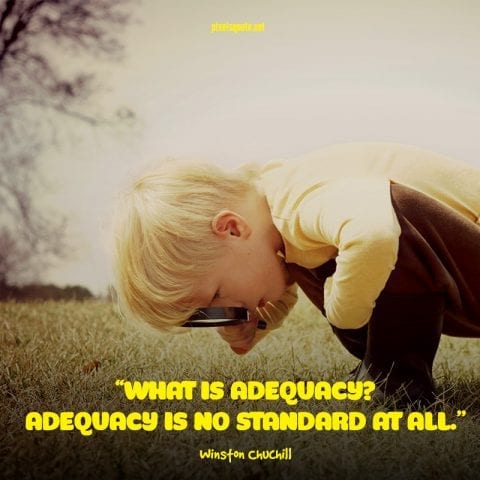 Adequacy life quotes.