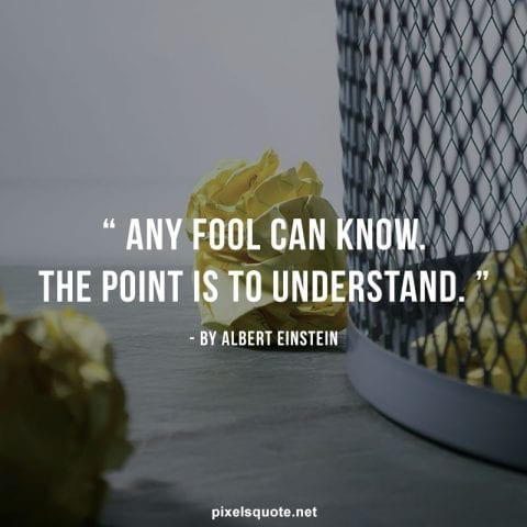 Albert Einstein quotes.