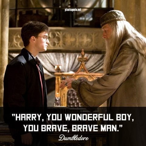 Albus Dumbledore quotes about Harry Porter.
