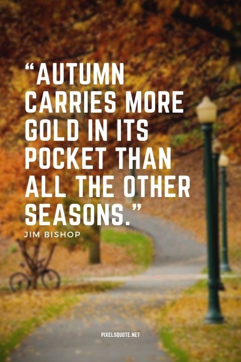 “Autumn carries more gold in its pocket than all the other seasons ” — Jim Bishop.