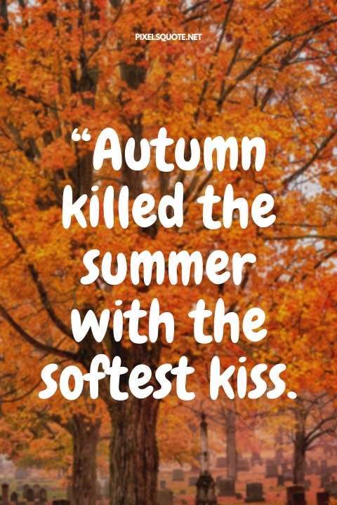 “Autumn killed the summer with the softest kiss.