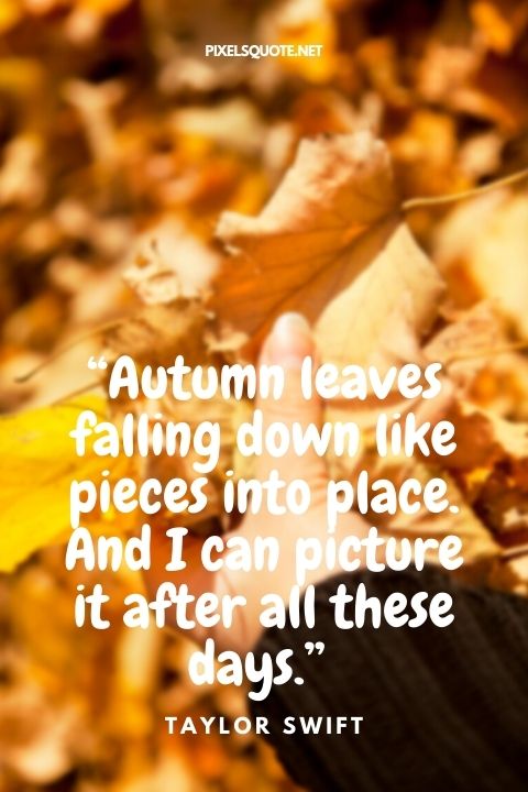 “Autumn leaves falling down like pieces into place And I can picture it after all these days ” —Taylor Swift.