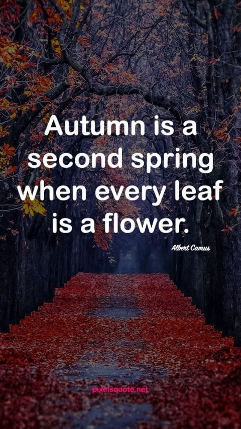 waiting for autumn quotes