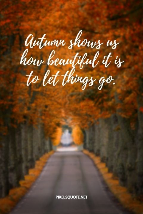 Autumn shows us how beautiful it is to let things go.