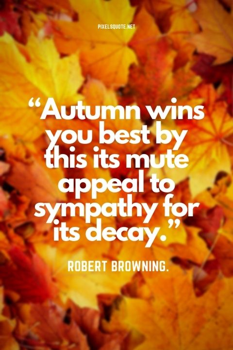 “Autumn wins you best by this its mute appeal to sympathy for its decay ” – Robert Browning.