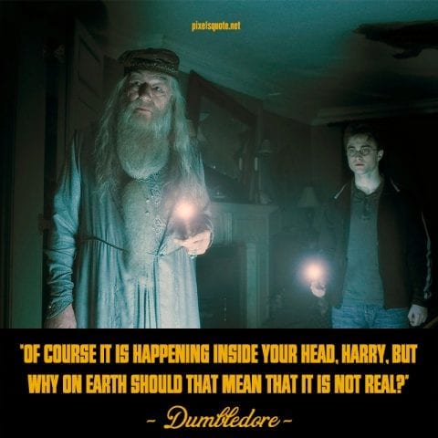 Best Dumbledore quotes.