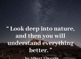 Best Nature quotes
