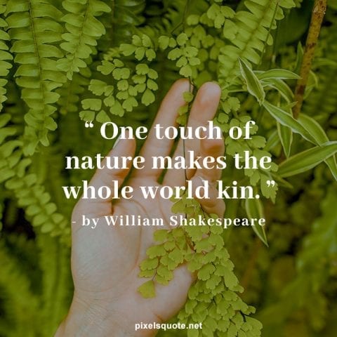 Best Nature quotes 3.