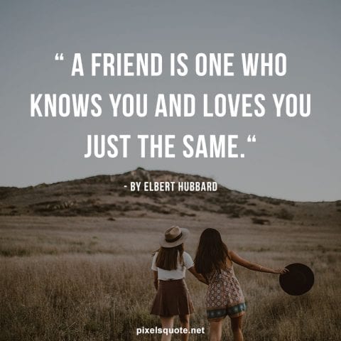 Best friend quotes with image.