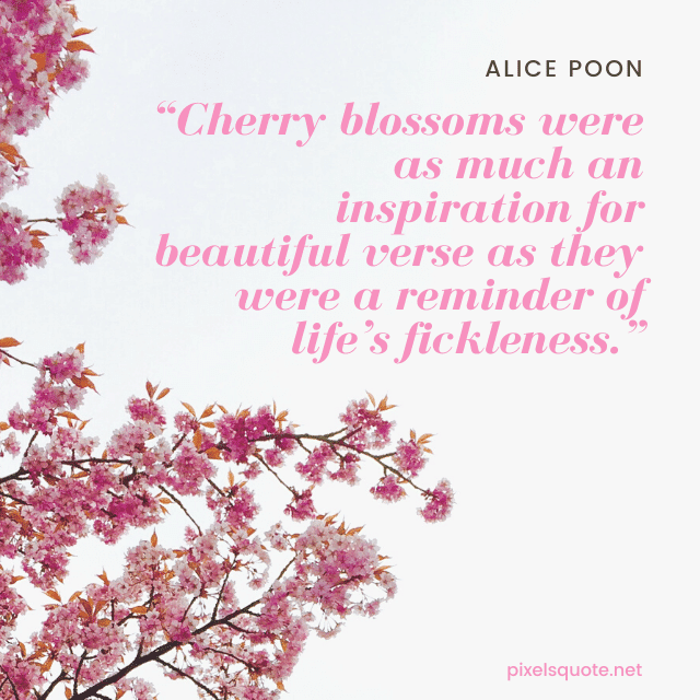 Cherry Blossom Quotes.