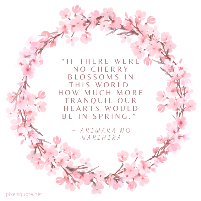 Cherry Blossom Spring Quote.