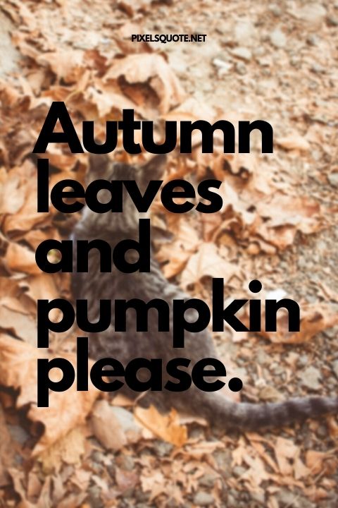 Cute fall caption instagram.