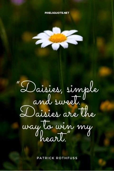Daisy Quotes 1.