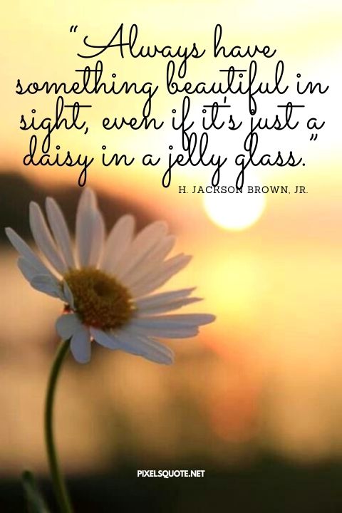 Daisy Quotes 10.