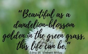 Dandelion Quotes 6.