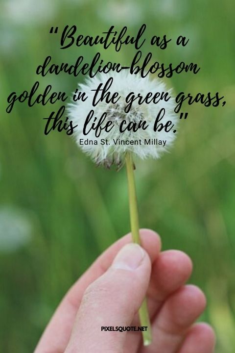 Blowing Dandelion Quotes