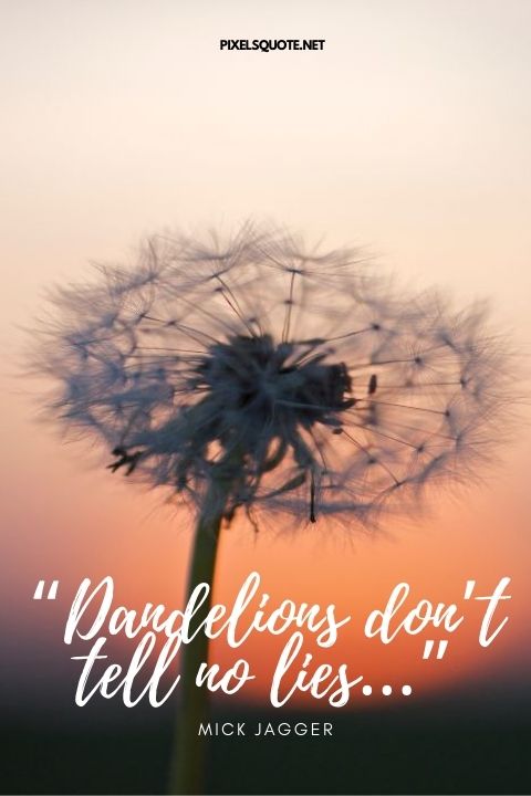 Blowing Dandelion Quotes