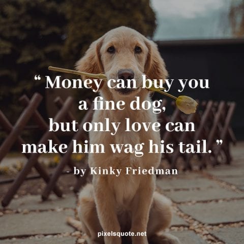 Dog best friend quotes.