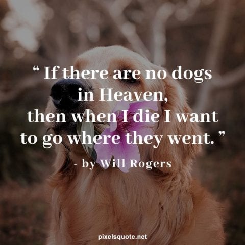 51 Adorable Dog Quotes For Puppy Lovers | PixelsQuote.Net