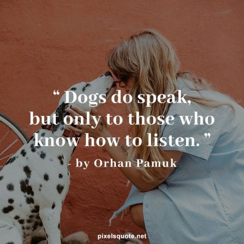 Dog friends quotes.