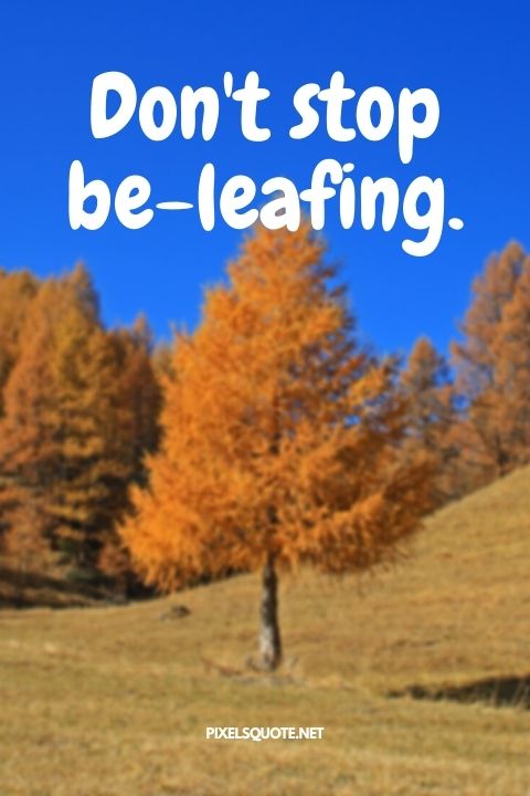 Don't stop be leafing.