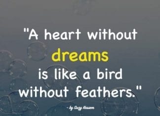 Dream quotes 2.
