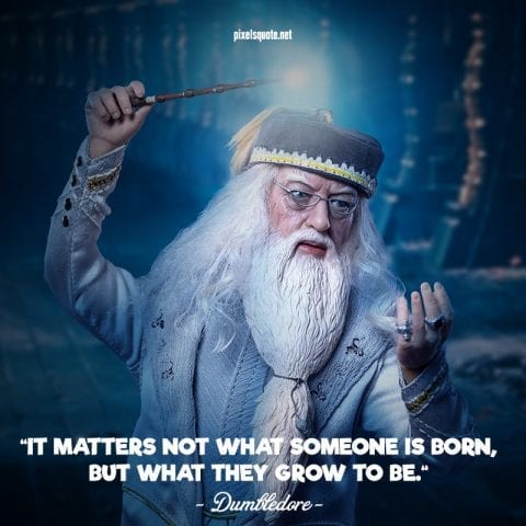 Dumbledore quotes.