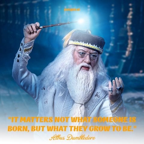 Dumledore life quotes.