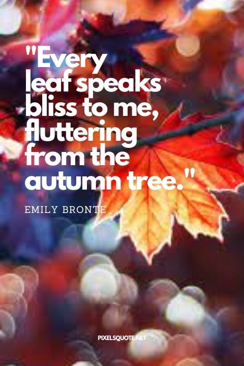Every leaf speaks bliss to me, fluttering from the autumn tree — Emily Bronte.