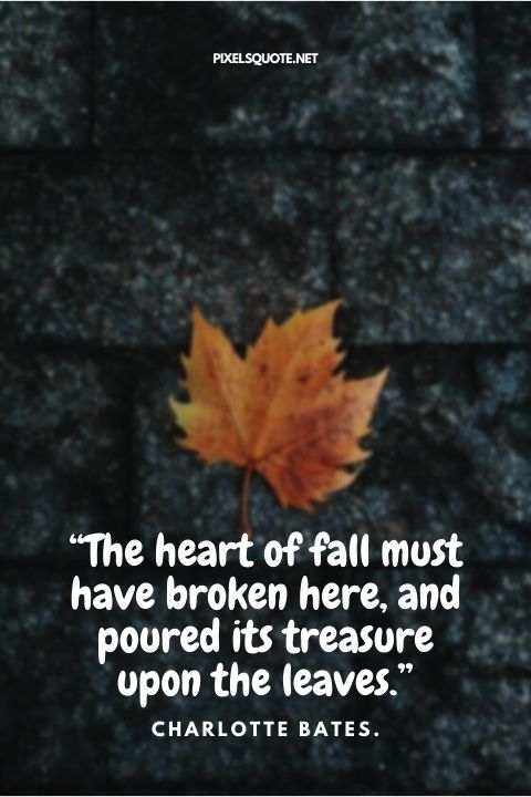 Fall love Quotes.