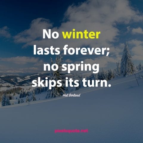 Winter Quotes to keep you Cozy and Motivated | PixelsQuote.Net