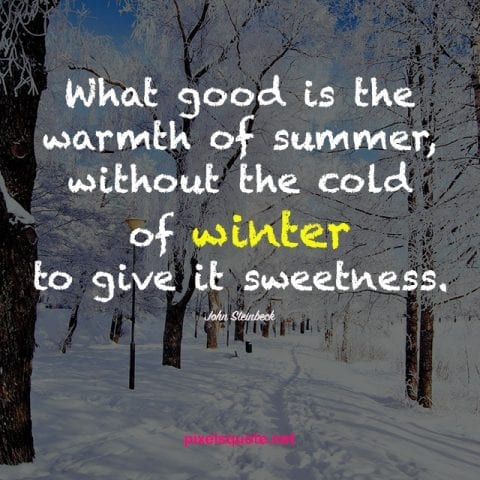 Winter Quotes to keep you Cozy and Motivated | PixelsQuote.Net