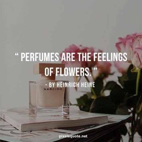 Feelings of Flowers.