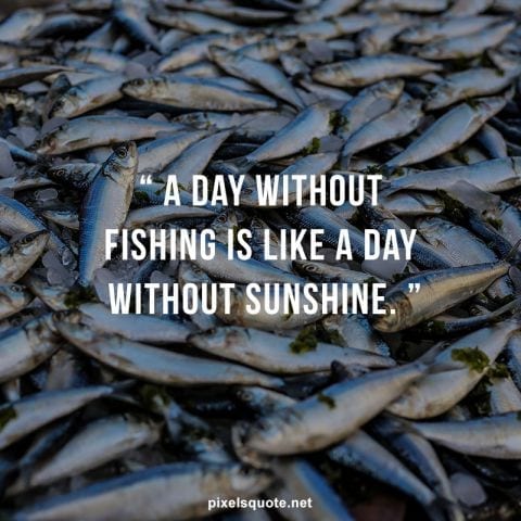 Fishing love quotes.