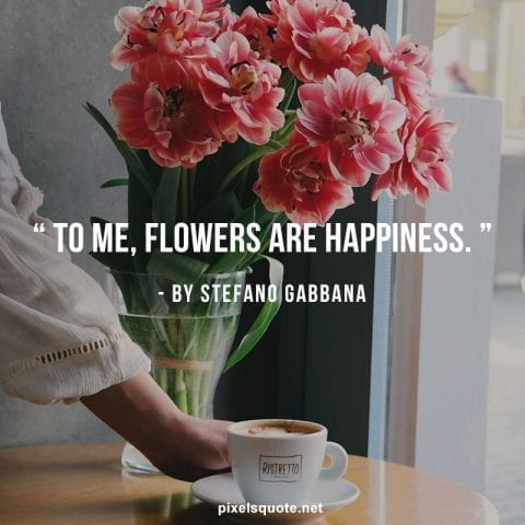 Flowers are Happiness.