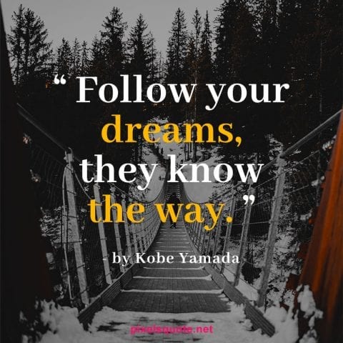 Following your dream quotes 09.