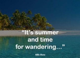 Fun Summer Quote.