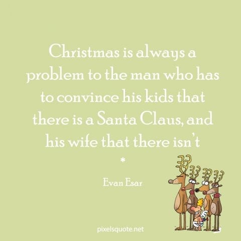Funny Christmas Quotes 11