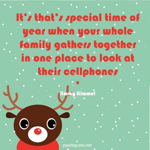 Funny Christmas Quotes 14
