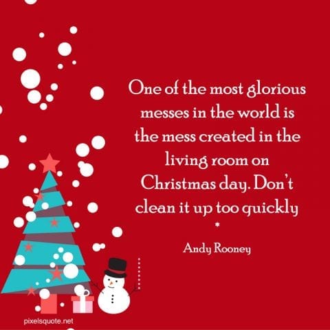 Funny Christmas Quotes 4