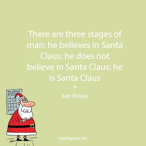 Funny Christmas Quotes 9