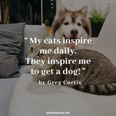 Funny Dog quote.