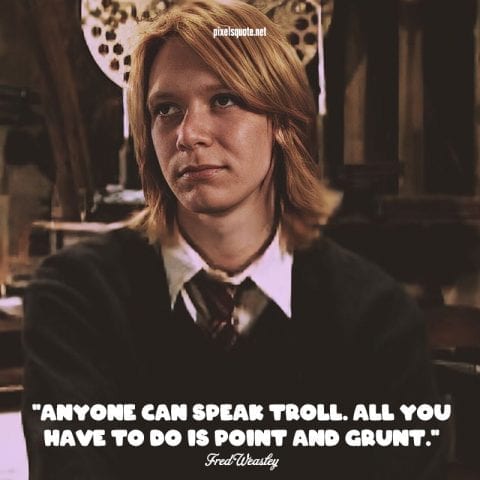 Funny Harry Porter Quotes.