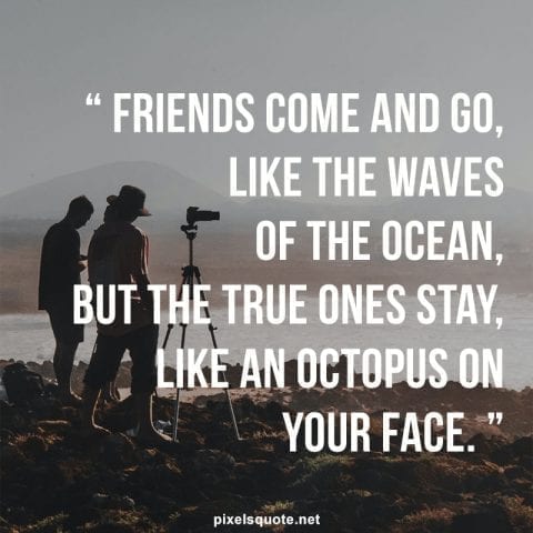 Funny friendship quotes with images 