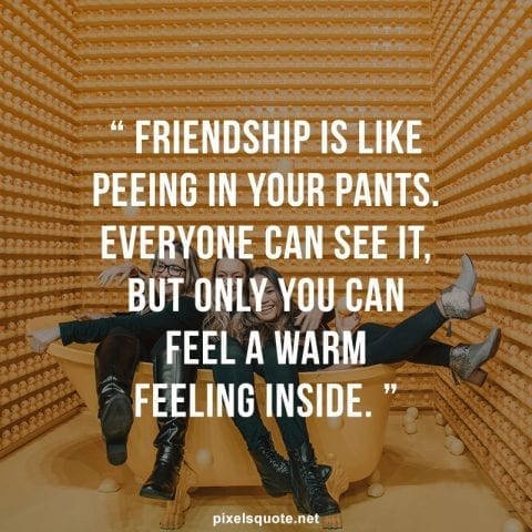 Funny friendship quote 2.