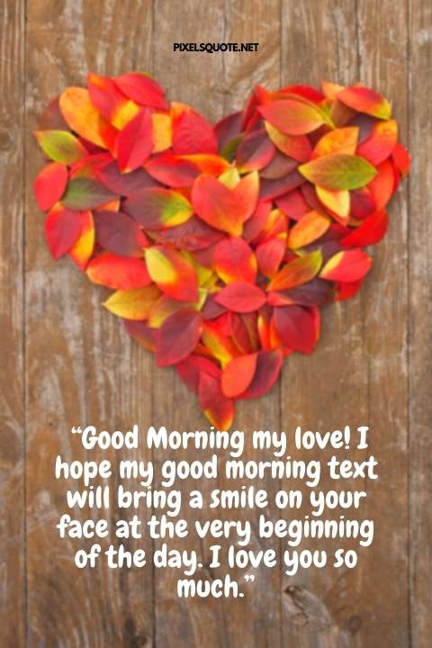 “Good Morning my love! I hope my good morning text will bring a smile on your face at the very beginning of the day I love you so much ”.