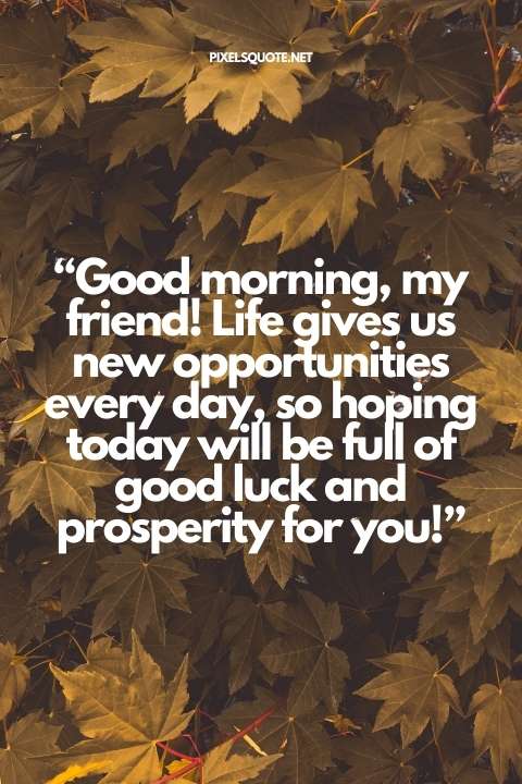 “Good morning, my friend! Life gives us new opportunities every day, so hoping today will be full of good luck and prosperity for you!”.