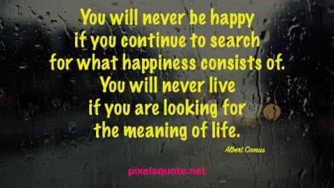 Inspiring Happiness Quotes Pixelsquote Net