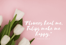 Happy Tulip Quotes.