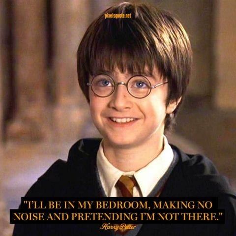 Harry Porter Quotes Funny.